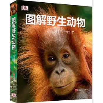 ȫ�� �D��Ұ����(d��ng)��