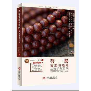 �����b���c�xُ�����ֵ��м�