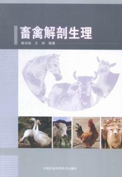 ���ݽ�������