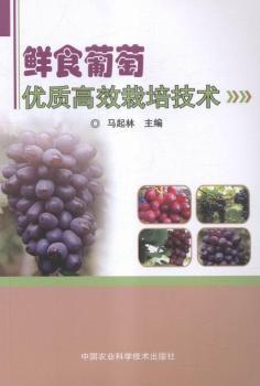 �rʳ���у�(y��u)�|(zh��)��Ч���༼�g(sh��)