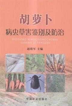 ���}�����x�ݺ��b�e������