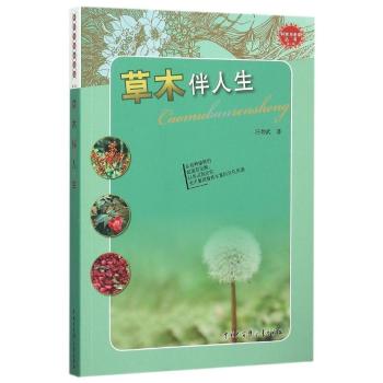 ��ľ������