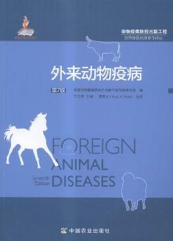 �������߲�