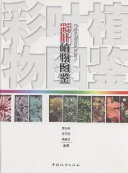 ���~ֲ��D�b