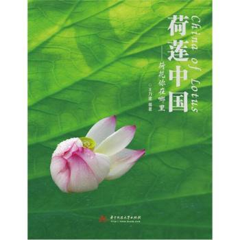 ��ɏ�Ї�:�ɻ���������