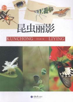 ���x(ch��ng)��Ӱ