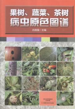 ���䡢�߲�����䲡�xԭɫ�D�V