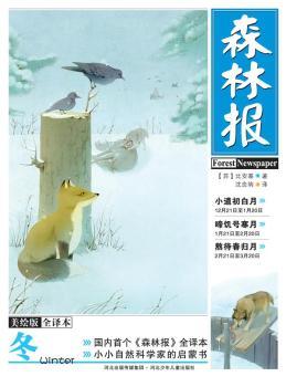 ɭ�ֈ󡤶������Lȫ�g����