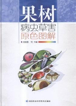 ����(sh��)���x(ch��ng)�ݺ�ԭɫ�D��