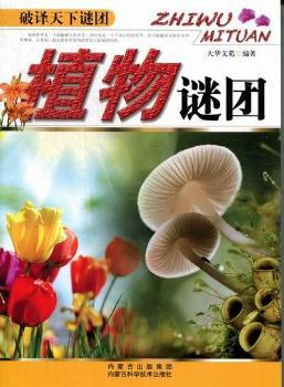 ֲ���i�F-���g�����i�F