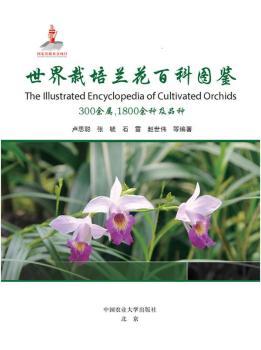 ���������m���ٿƈD�b:300������1800��N��Ʒ�N