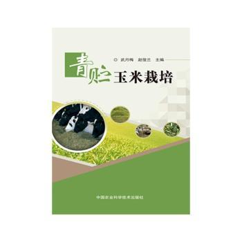 ���A��������